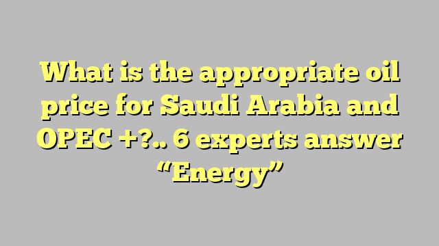 What is the appropriate oil price for Saudi Arabia and OPEC +?.. 6 experts answer “Energy”