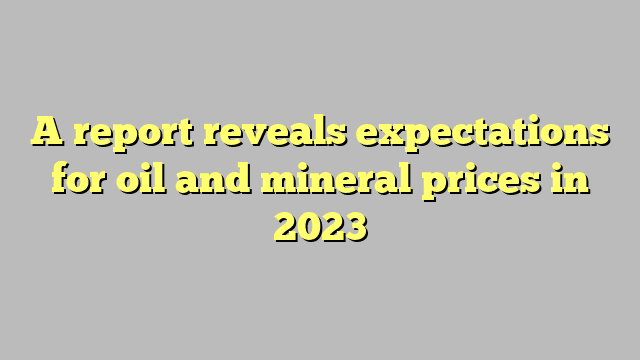 A report reveals expectations for oil and mineral prices in 2023