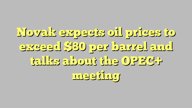 Novak expects oil prices to exceed $80 per barrel and talks about the OPEC+ meeting