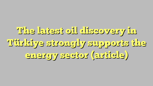 The latest oil discovery in Türkiye strongly supports the energy sector (article)